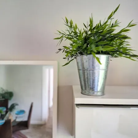 Pura Vida By Hello Homes Apartment