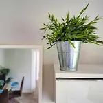Pura Vida By Hello Homes Апартаменты
